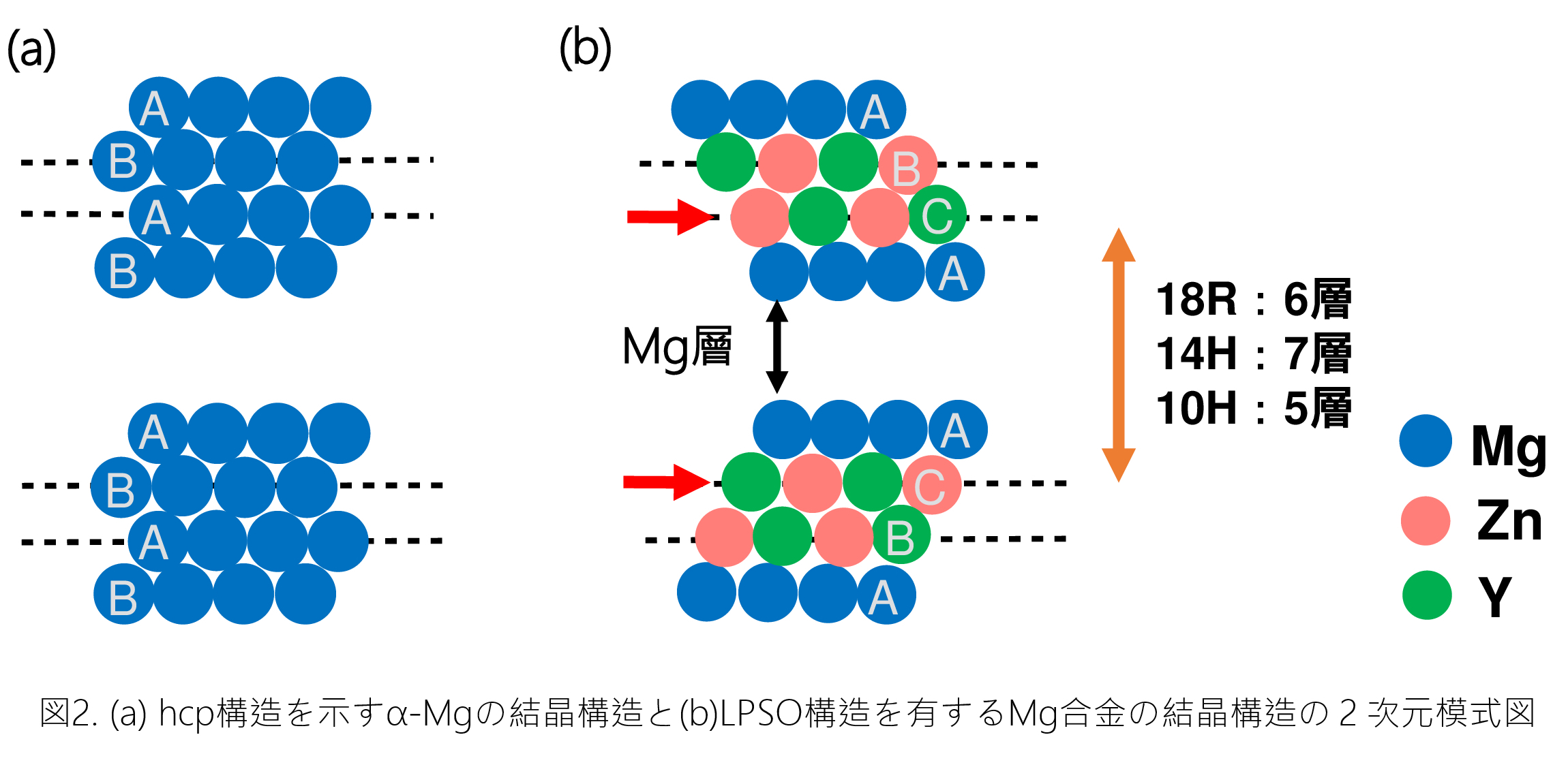 図2.(a)hcp構造を示すα-Mgの結晶構造と(b)LPSO構造を有するMg合金の結晶構造 の2次元模式図